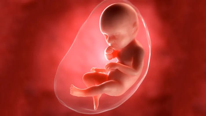 3-й триместр береммености